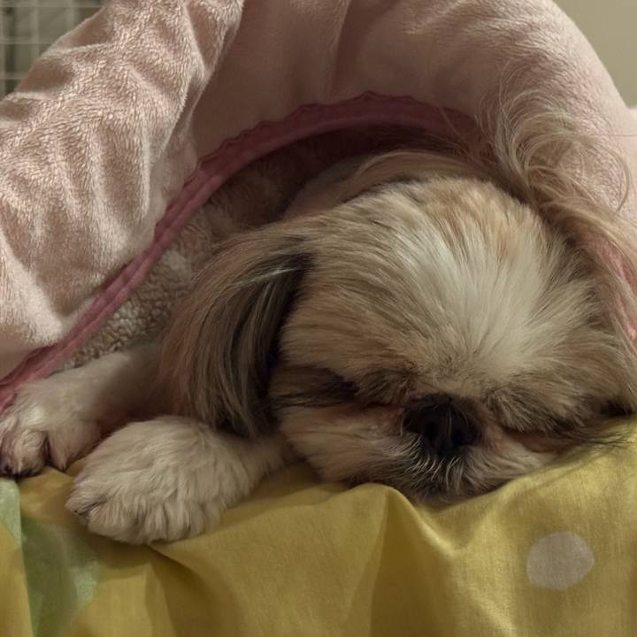 C4994304 5338 4aed a745 56a89a754714 1736171068379