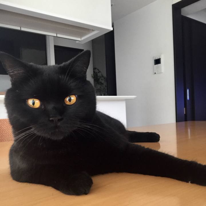 C49959ef 3649 49ba 9426 38c4e1a387cc 1531088760301