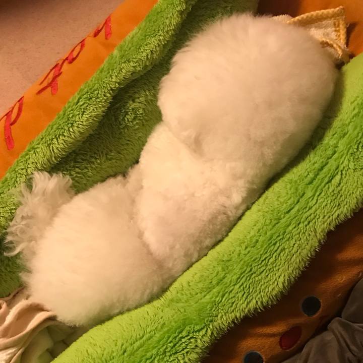 C49973de 262c 4200 b07e 0e39896fb37a 1587295491710