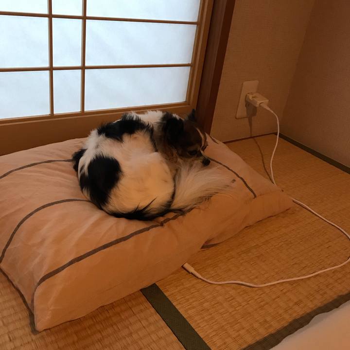 C499c047 14b6 4ef7 b96c ba302de2834f 1570876415211