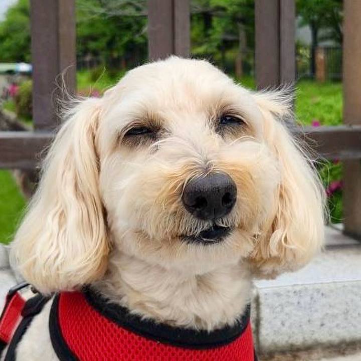 C499db41 240c 47cc a3db ca854a3a51da 1776921933468