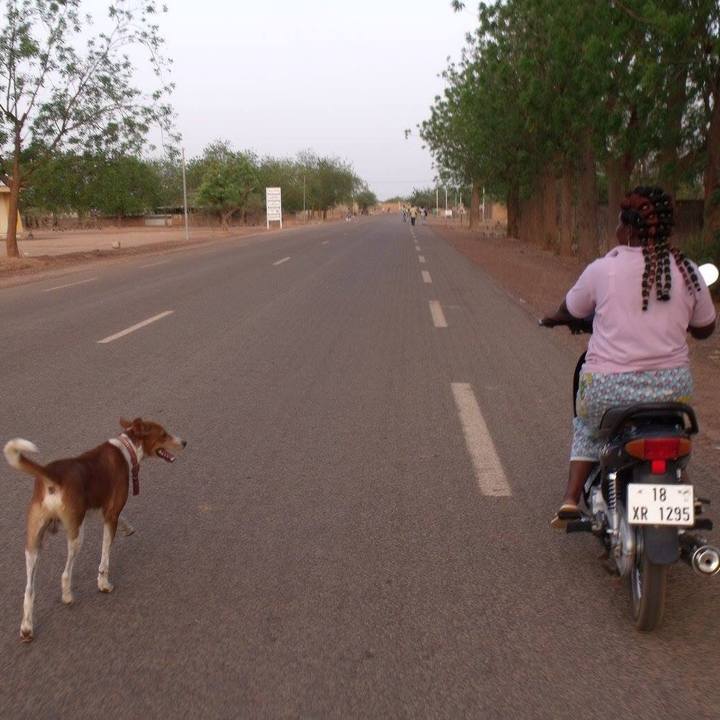 C499ddd4 81b9 4fca 85f8 f475ab786a92 1516530658032