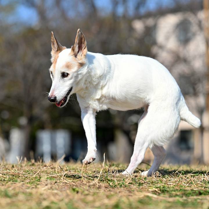 C49a1aba 5fce 44bc 89b8 fcfb964dffba 1774101548751