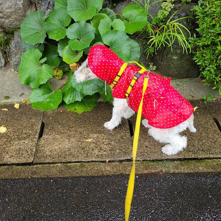 C49a1c52 a07e 4024 bdd2 c0eee9ee9d09 1686701104803