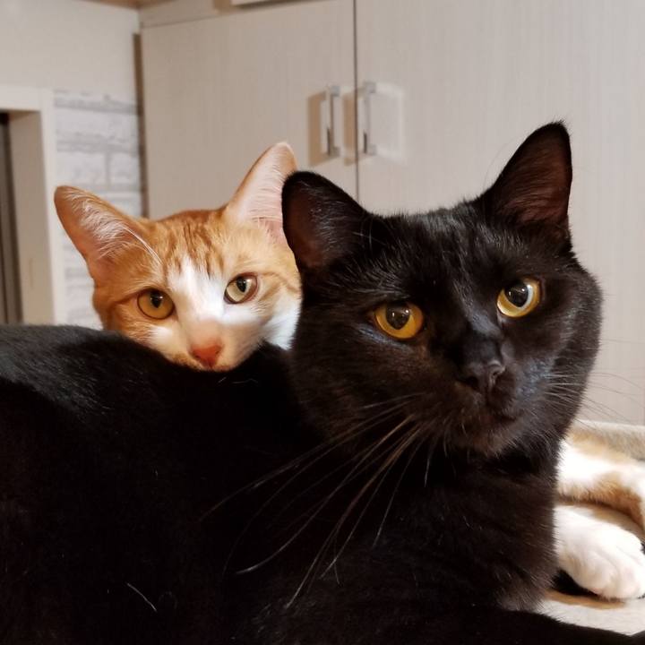 C49a5da7 542c 4628 8269 9f64d602bf4e 1546337425914