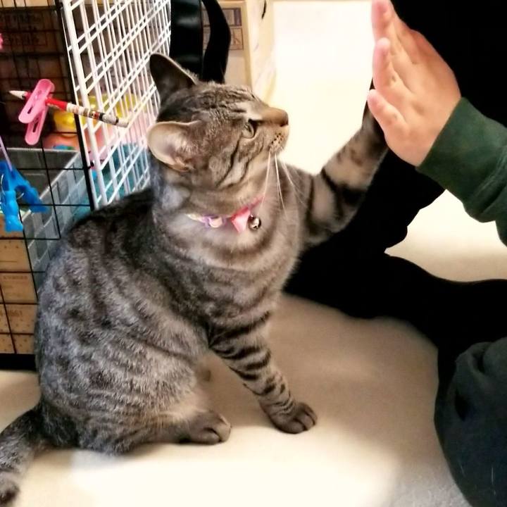 C49a7155 b74d 4647 b067 5b03ea526527 1682434523654