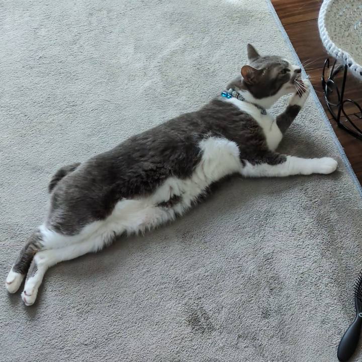 C49a845a 0dd4 41d7 8ff9 945366c0da6b 1759888304864