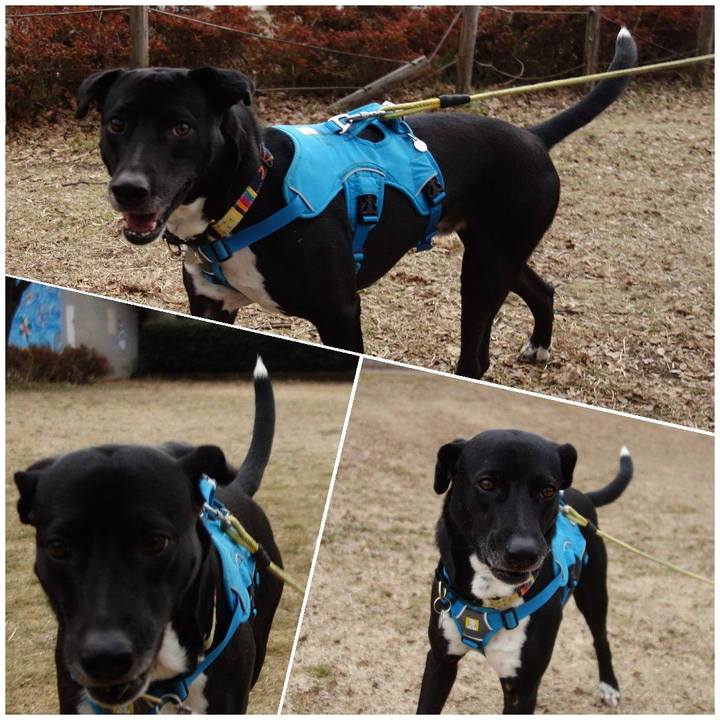 C49a94ee 1a00 4900 beb5 84e28f0de3c2 1611792386761