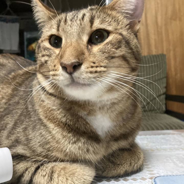 C49aa95a 6177 4222 85b5 c0a92489edde 1602940963791