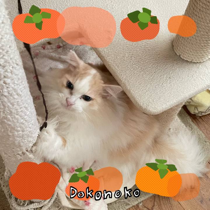 C49adccf 01b4 4f6a a903 124f73e165b4 1761170218952