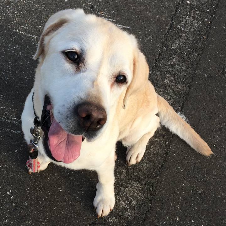 C49ae046 05ad 4efc a6de 9e72f2b9e4c9 1588757061423