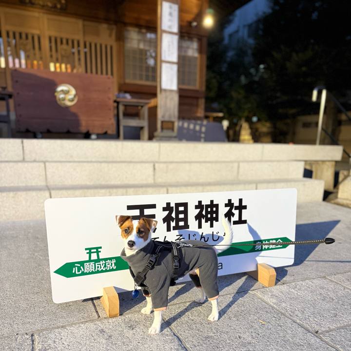 C49af8fa f4d6 406a a7bb dfa5ce329e2e 1767045940405