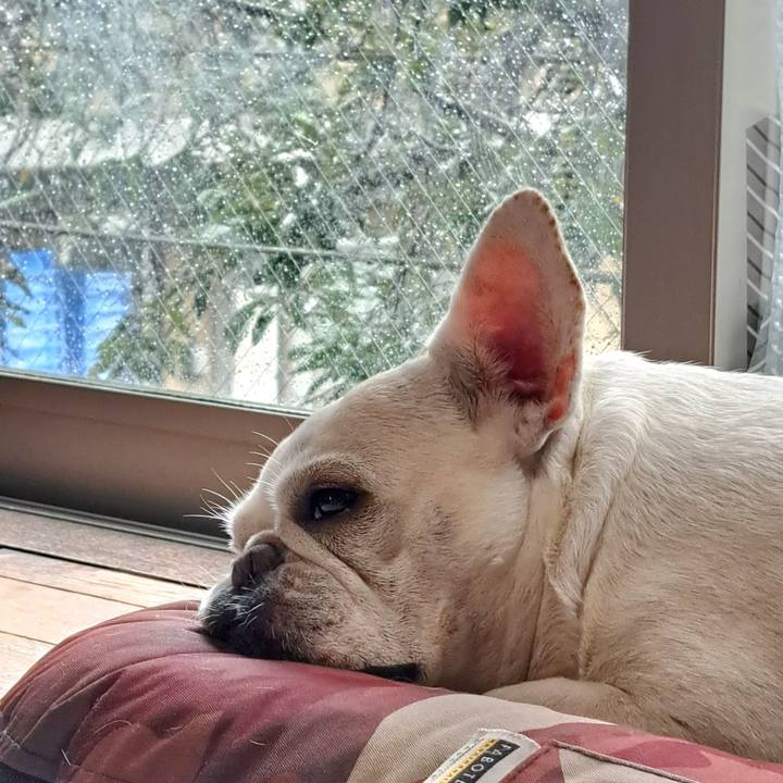 C49b1ca0 3fcc 4201 8f63 a86b390b2d74 1725172009100