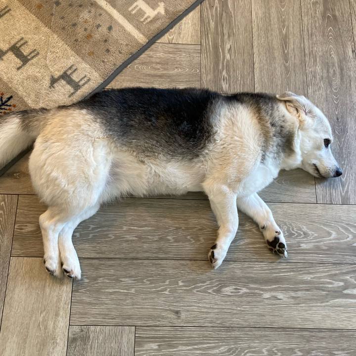 C49b25ba 324d 4fac 963e 6722e1c42bc1 1658839800260