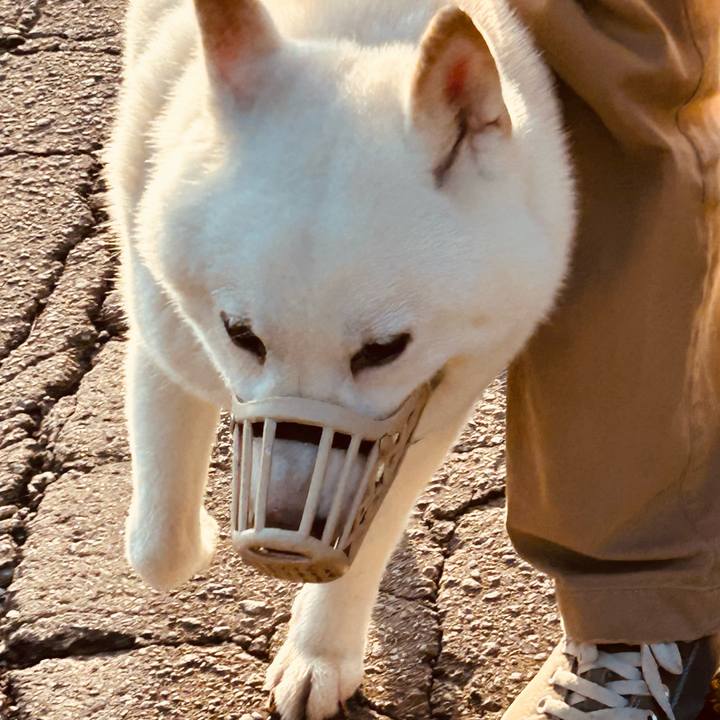 C49b48b0 f812 4f7c a152 821d2a36557a 1695855473937