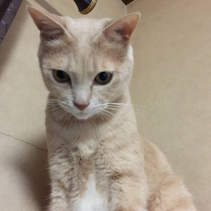 C49b8081 7ece 4691 941c 7b93e682a5ee 1525258801352