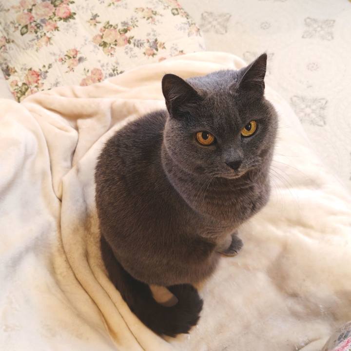 C49bb2a4 0315 49c8 ac52 454a38587ef6 1770246341093