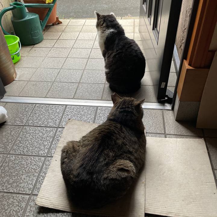 C49bb713 2717 4fae 8fc6 b7274d41a636 1652429838329