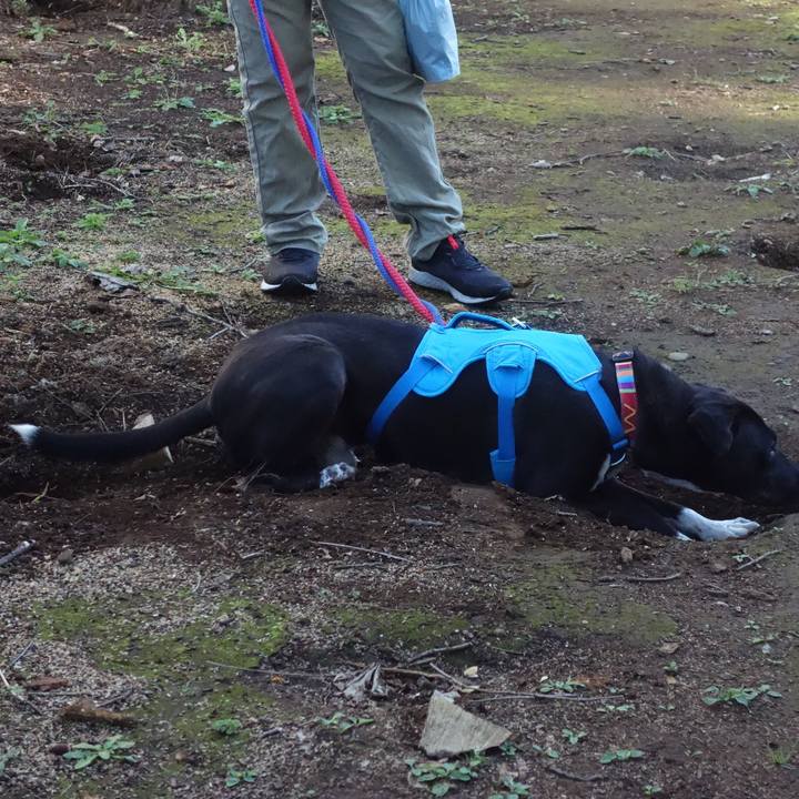 C49bc921 4296 4ced af09 cc56145a4801 1603584689464