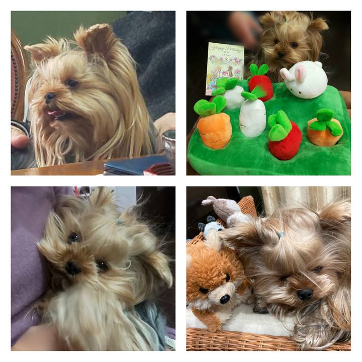 C49c1caf d833 42c4 ac78 f32690d98a69 1675402344903