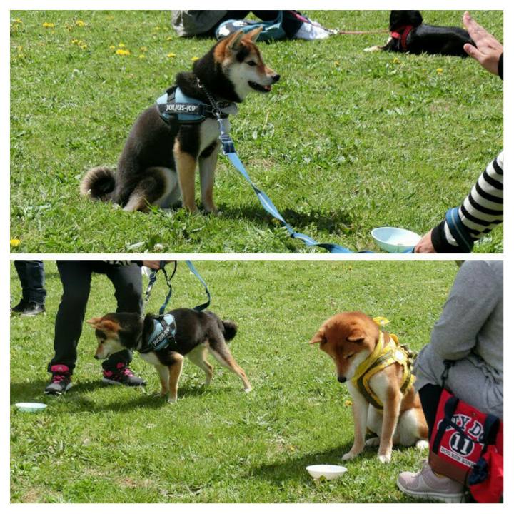 C49c4286 7edc 4050 9368 dccabba0677c 1523244669071