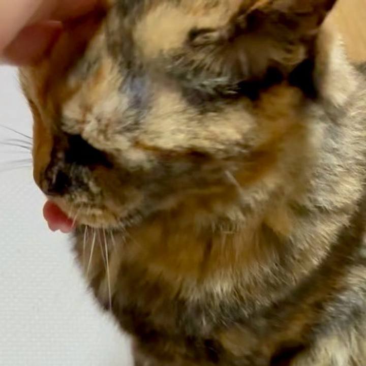 C49c4f8d c257 456a 9f3e 33004a2e6589 1752092685147