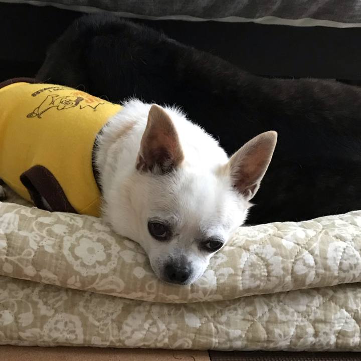 C49c7285 4568 48b6 94fe 1beda9e287a6 1594468598225