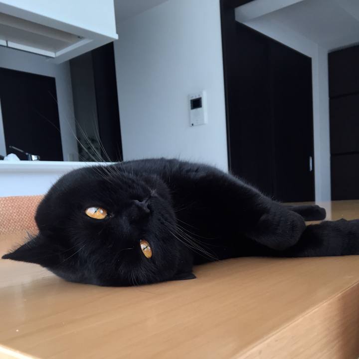 C49c772b 4357 4c05 9df5 9d6c580204bf 1528247074091