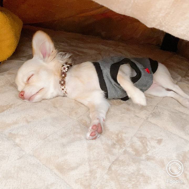 C49ca795 4741 47b2 b212 e7cfdd23e0b9 1604962674122