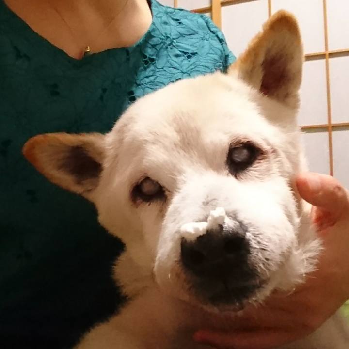 C49cae9b 67dc 4223 8dfb ab6ad0a1aae8 1531147556475