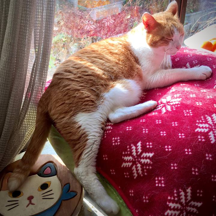 C49cb167 8733 4d89 99e9 eb4bb9b42ebe 1575018730305