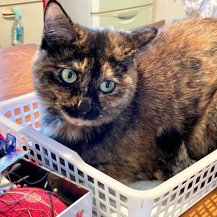 C49d0bc3 df13 4cb4 9331 fbdfd140fdeb 1636878531968