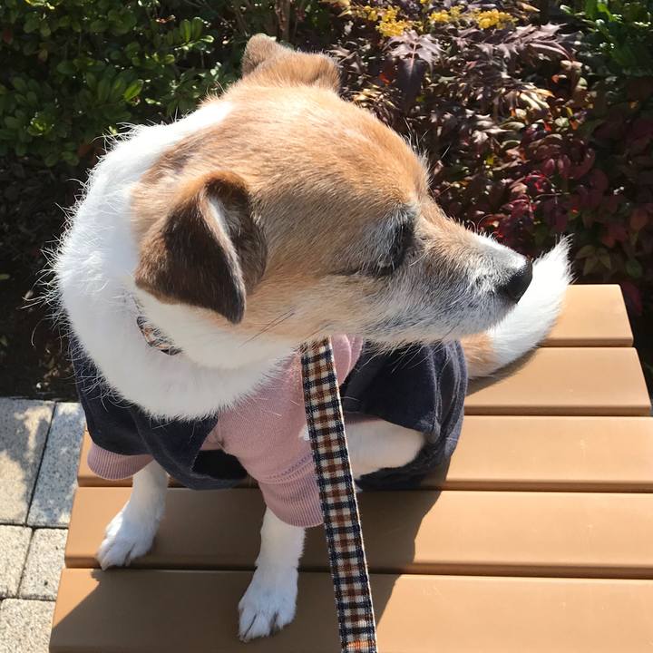 C49d4220 dfa9 432e a565 d9efdf8a3cc9 1584351392478