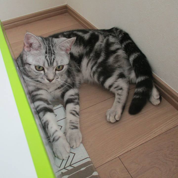 C49d64c5 06ff 44d7 9438 3fa970999c4c 1556849355676