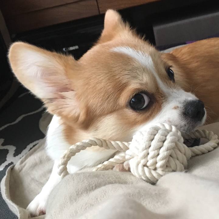 C49d6ed1 90a0 4bf8 b0d5 bbfc3042eeb4 1562283609426