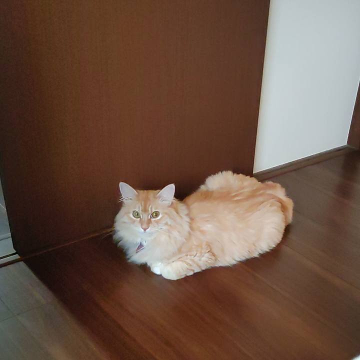 C49da6e3 93fd 4264 bd73 170a7cc8921e 1658353813397