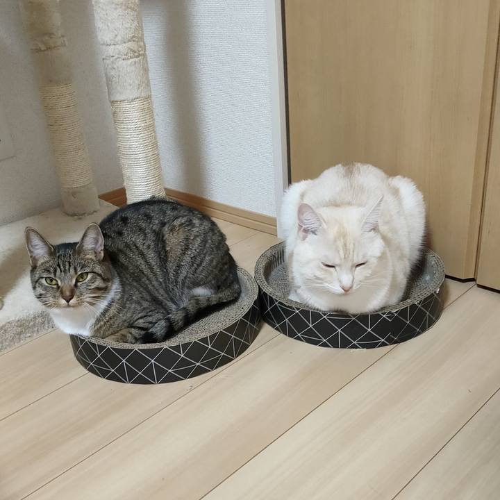 C49dc2ce 23cb 4c42 a28a f1b5723fb8eb 1661870940533