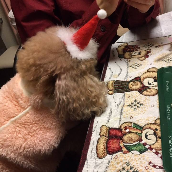 C49dc62e a04c 4faf 9b2e b7f3b8a6ffb7 1580699015921