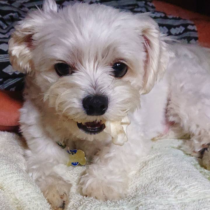 C49dd73b e9b3 4644 a968 a81fefc13e00 1531145523340