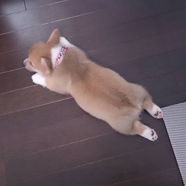 C49dddea 9ea1 4908 a6b6 45fc80d787ec 1587127012475