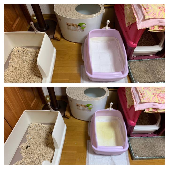 C49dec19 1ddd 4202 b88d 02d6787796dd 1565318758659