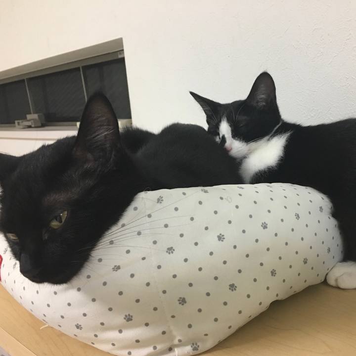 C49df73d e0fc 4a47 b0a1 82970dbf688b 1537798188685