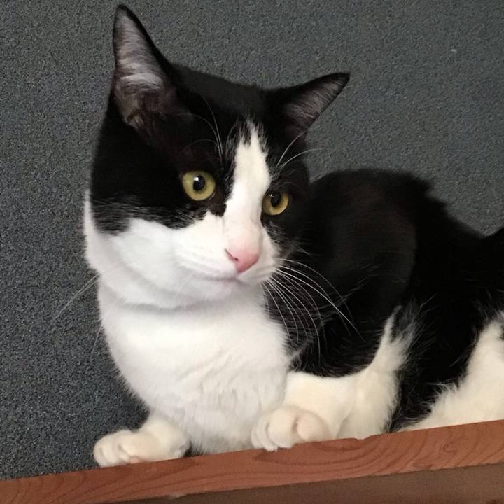 C49e0891 21cf 420e a548 4fee7c2eac35 1675408608932