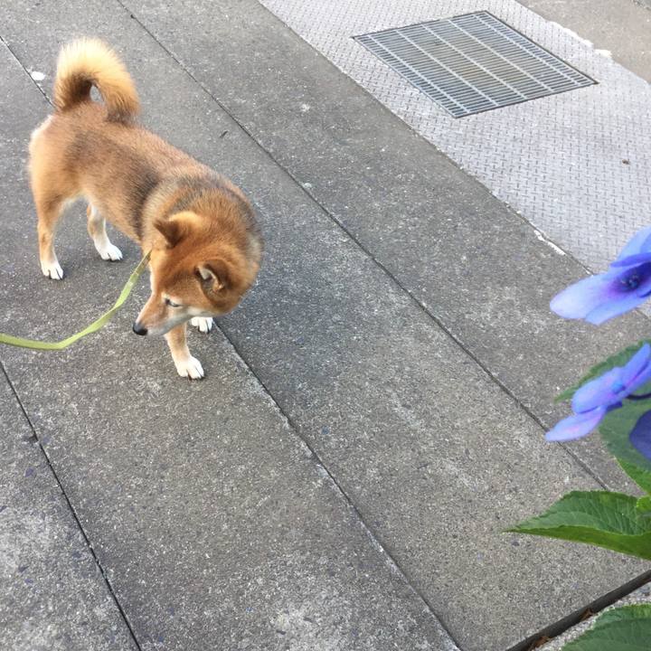 C49e1627 03d5 40ed 9b32 2b07f8ed4639 1560675597392