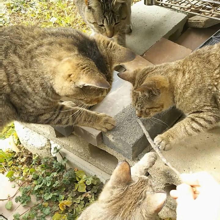 C49e46b5 3531 4603 a04a 9513ee48d7ee 1519528086880