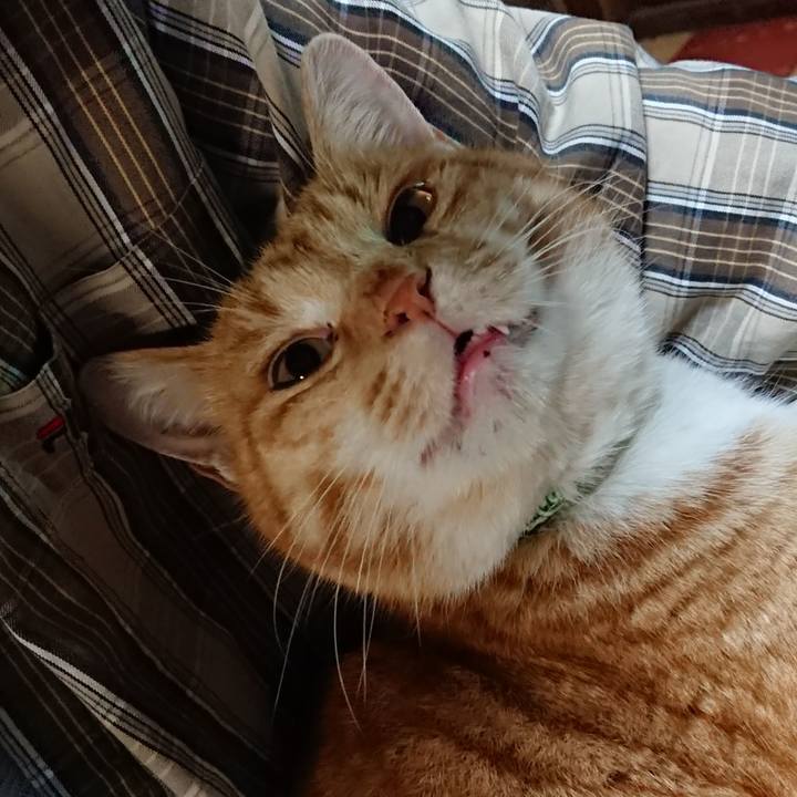 C49e4e8a 7645 4490 8c3b 4e3a6836c02f 1580899747659