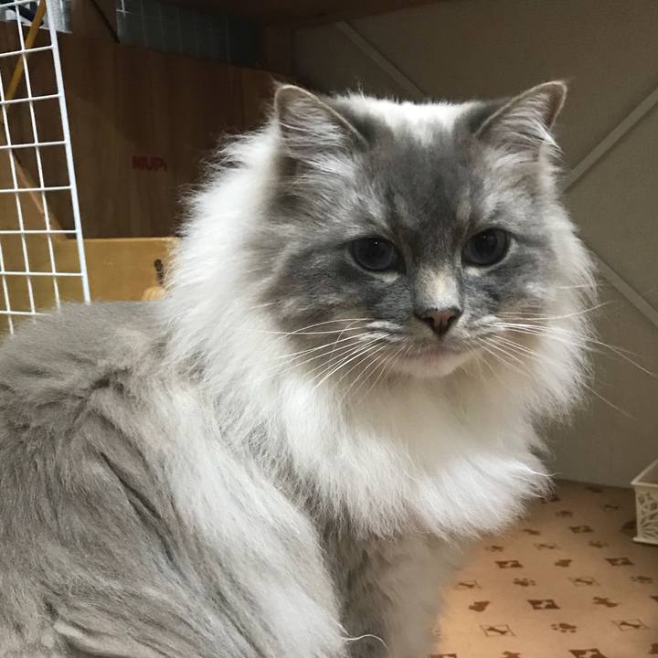 C49e4fbc 2484 41ab a4fa 078857a62966 1521989468684