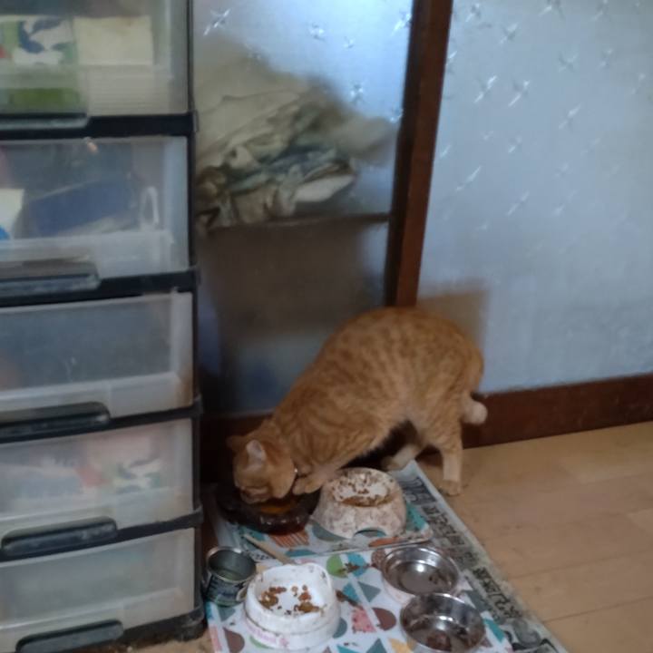 C49e78aa ff5a 47bc b6ad db5054de8f6a 1667689173290