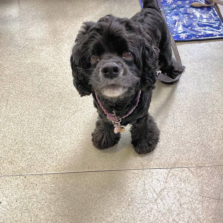 C49e8b1e 7a2d 47e5 b2b4 eb44ca57e201 1625555908411