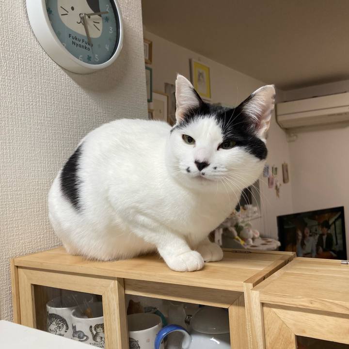 C49ea012 c725 47c0 9646 c994e114fbe6 1766866201482